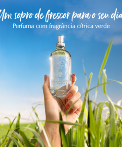 Deo Colônia Capim-Limão 100ml
